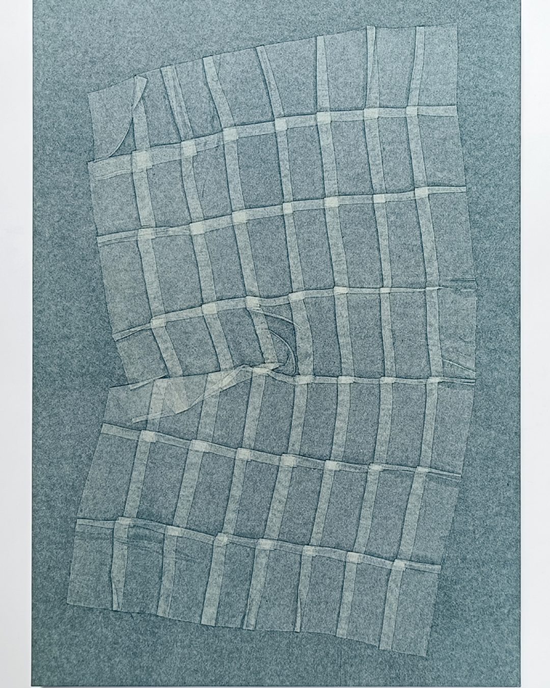 Paper_Tiliqua Tiliqua_Lois-Waters-Pleat-2024-Tiliqua-Tiliqua