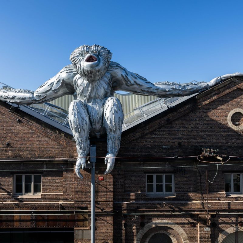 SC2024_ Lisa Roet SkywalkerGibbon Carriageworks. Photo by Wes Nel Photography5 copy